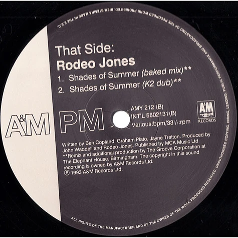 Rodeo Jones - Shades Of Summer Remixes