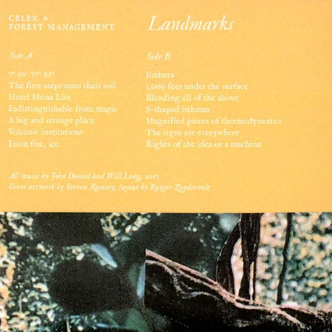 Celer + Forest Management - Landmarks