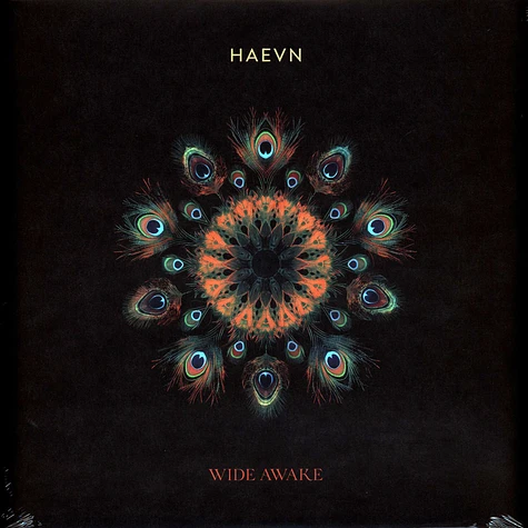 Haevn - Wide Awake Black Vinyl Edition