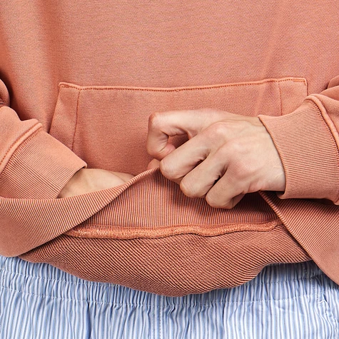 Lacoste - Washed Effect Hoodie
