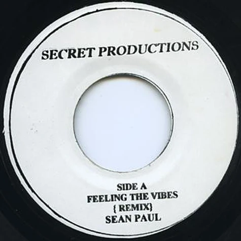 Sean Paul - Feeling The Vibes (Remix)