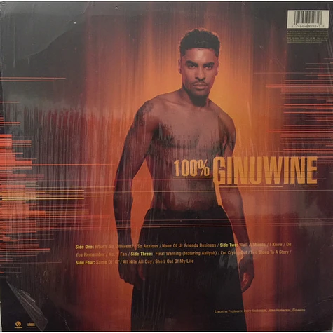 Ginuwine - 100% Ginuwine