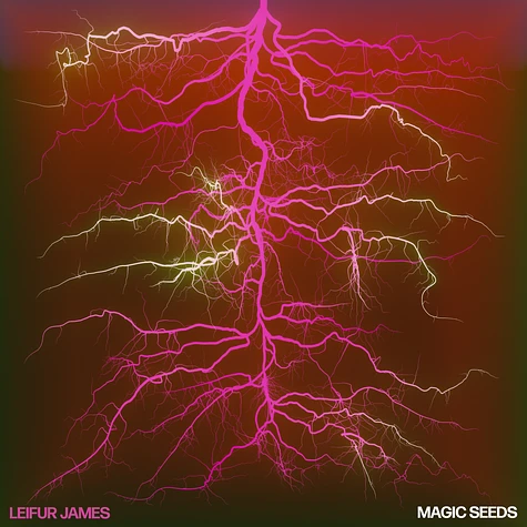 Leifur James - Magic Seeds