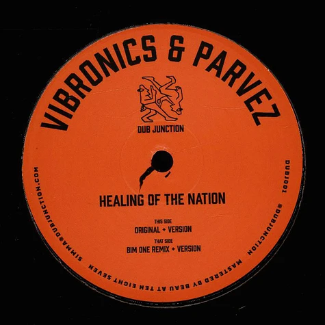 Vibronics & Parvez - Healing Of The Nation Bim One Remix