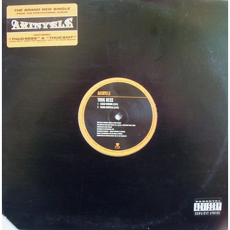 Akinyele - Thug Ness