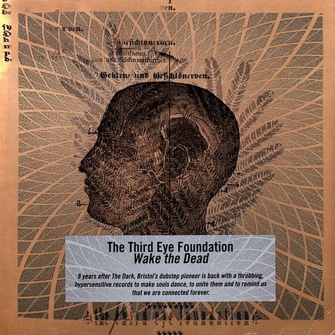 The Third Eye Foundation - Wake The Dead