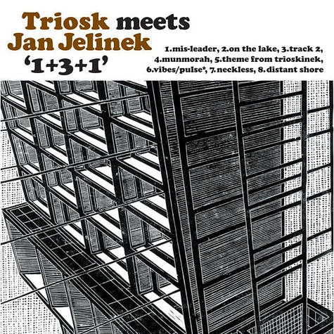 Triosk meets Jan Jelinek - 1+3+1