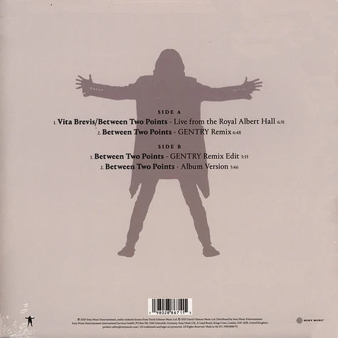 David Gilmour With Romany Gilmour - Between Two Points Record Store Day 2025 Vinyl Edition Clear Vinyl Edition