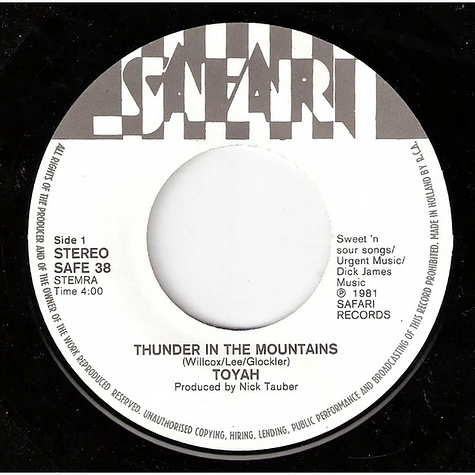 Toyah - Thunder In The Mountains