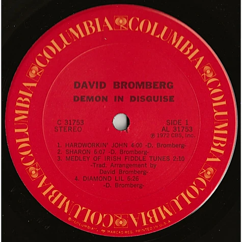 David Bromberg - Demon In Disguise