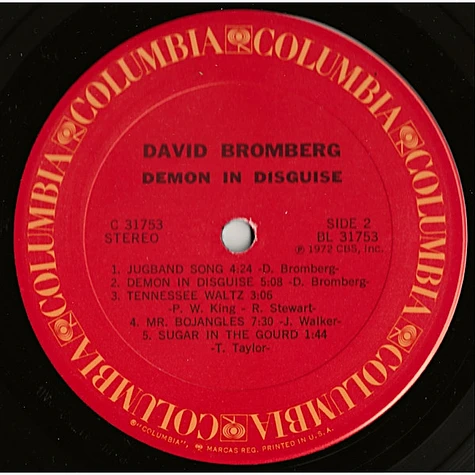 David Bromberg - Demon In Disguise