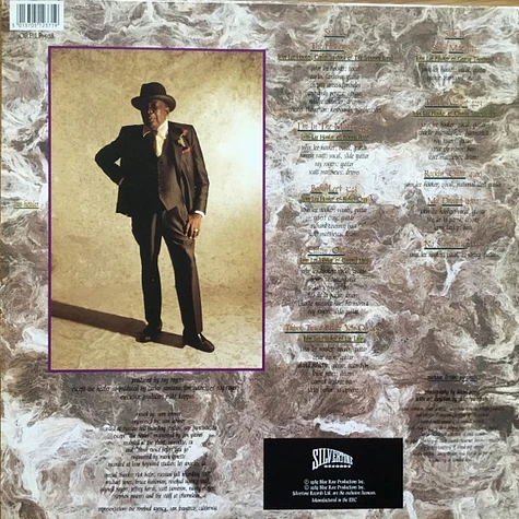 John Lee Hooker - The Healer - Vinyl LP - 1989 - Original | HHV