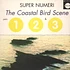Super Numeri - The coastal bird scene