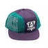Sports Specialties - Anaheim Mighty Ducks 90s team cap