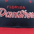 Sports Specialties - Florida Panthers 90s team cap