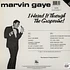 Marvin Gaye - I heard it through the grapevine