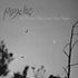 Psyche - All Things Pass Into The Night