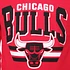 Mitchell & Ness - Chicago Bulls Stadium Crew Sweater