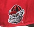 Mitchell & Ness - Georgia Bulldogs 2 Tone Script Cap