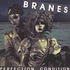 Branes - Perfection Condition