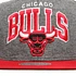 Mitchell & Ness - Chicago Bulls NBA Team Arch Jersey Snapback Cap