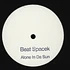 Beat Spacek - Alone In Da Sun