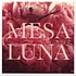 Mesa Luna - Shutting Down
