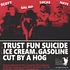 The NVs - Trust Fun Suice EP