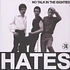 Hates - No Talk In The Eighties