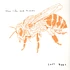 Life & Times - Lost Bees