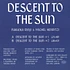 Rinji Fukuoka & Michel Henritzi - Descent To The Sun