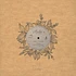 Colophon - Concrete EP