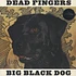 Dead Fingers - Big Black Dog