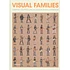 Antonis Antoniou, Robert Klanten, Hednrik Hellige & Sven Ehmann - Visual Families - Graphic Storytelling In Design And Illustration