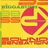 Bigga Bush - Sound Sensation