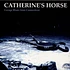 Catherine's Horse - Garage Blues From Connecticut
