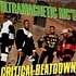 Ultramagnetic MC's - Critical Beatdown