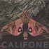Califone - Insect Courage