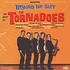 The Tornadoes - Beyond The Surf: The Best of The Tornadoes