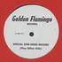 Golden Flamingo Orchestra - Guardian Angel Is Watching Over Us