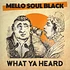 Mello Soul Black & The Jazz Spastiks - What Ya Heard