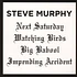 Steve Murphy - Watching Birds