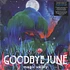 Goodbye June - Magic Valley