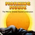 The Werner Drexler Sound Combination - Morning Music
