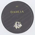 OuD!N, Phil Baker & Palomatic - Dahlia995