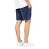 Nike SB - Flex Shorts