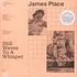 James Place - Still Waves To A Whisper