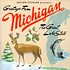 Sufjan Stevens - Greetings From Michigan: The Great Lake State