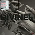 Hayden Thorpe - Diviner Deluxe Vinyl Edition