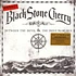 Black Stone Cherry - Between The Devil & The Deep Blue Sea Colored Vinyl Edition